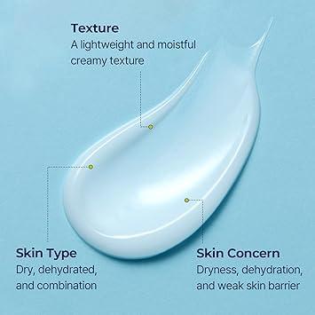 [TORRIDEN] DIVE IN Low Molecular Hyaluronic Acid Cream 80ml