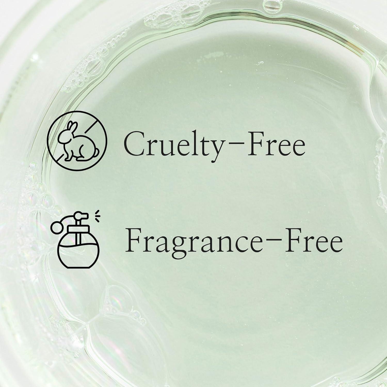 [Beauty of Joseon] Green Plum Refreshing Toner: AHA + BHA 150ml